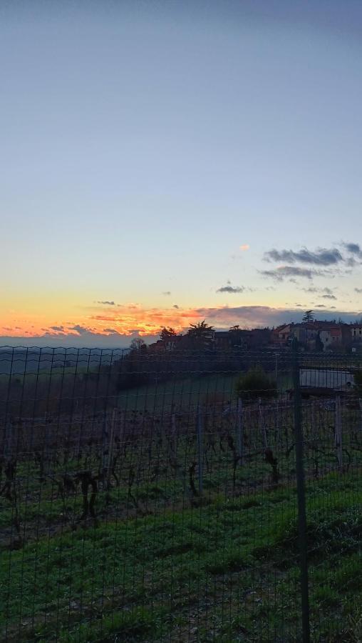 Il Cortile Di Greta Bed and Breakfast Lu (Piedmont) Exteriör bild