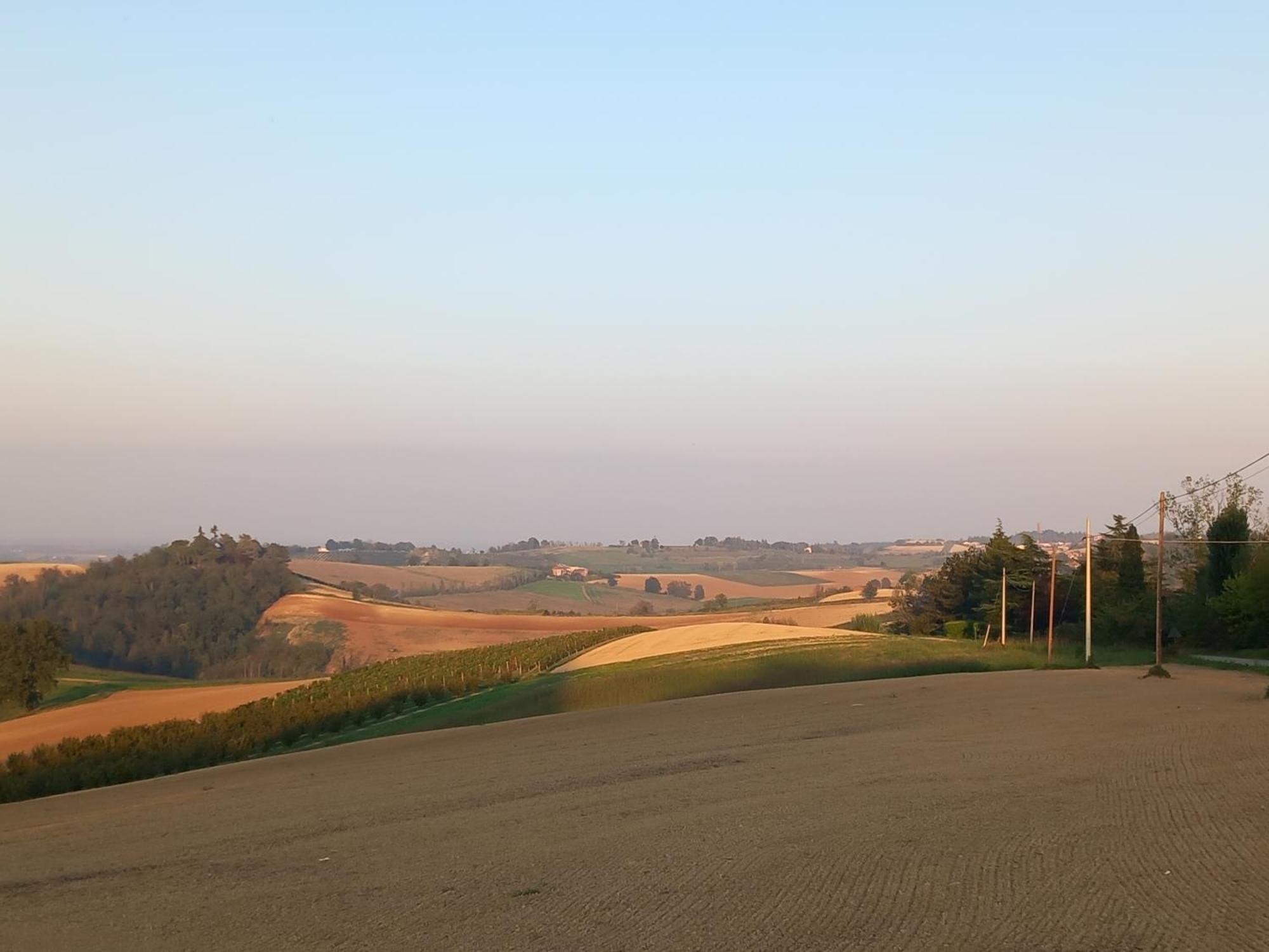 Il Cortile Di Greta Bed and Breakfast Lu (Piedmont) Exteriör bild