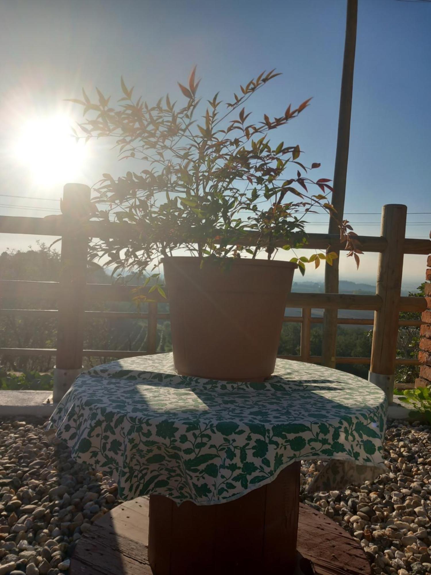 Il Cortile Di Greta Bed and Breakfast Lu (Piedmont) Exteriör bild
