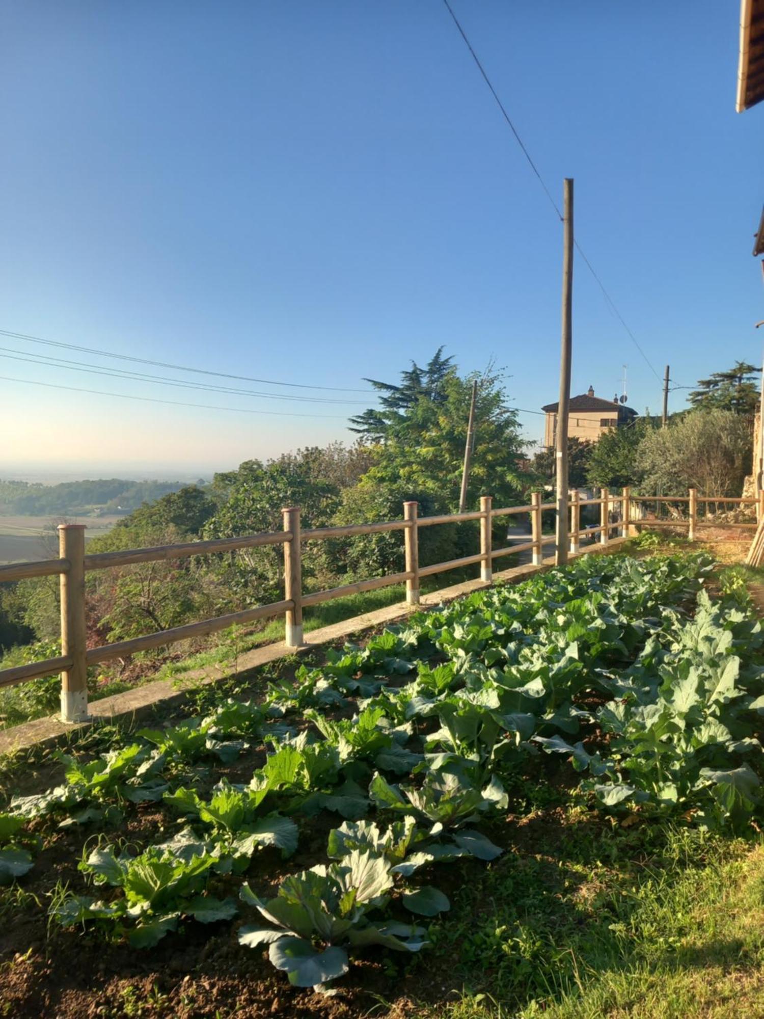 Il Cortile Di Greta Bed and Breakfast Lu (Piedmont) Exteriör bild